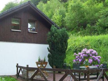 Apartment in Goldisthal with Terrace Parking Heating Bikes