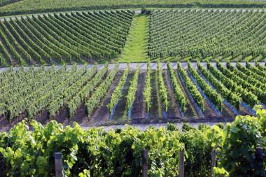 Ferienwohnung Am Steigerwaldrand