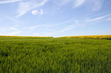Landgasthof Zur Post