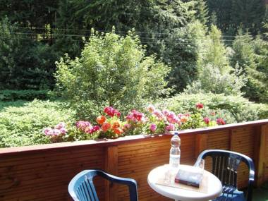 Luxurious Apartment in Heubach Germany in the Forest