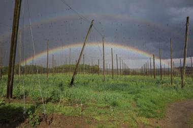 Holledau-Apartments Familie Gmeineder