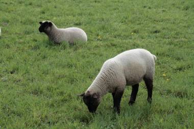 Rhönhotel Alte Mühle