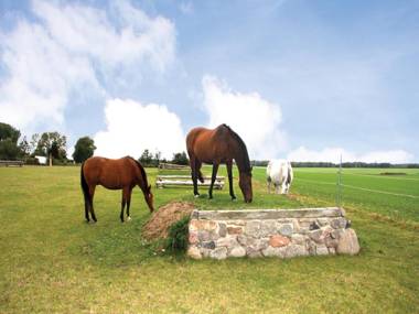 Reitpension A. Behrens