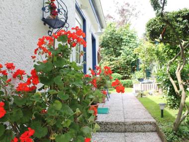 Attractive Bungalow in Damshagen near the Sea