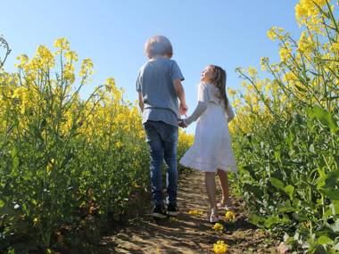 Pleasant Apartment in Damshagen with Terrace and Barbecue