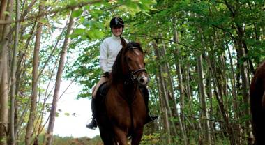 Landgasthof Probstei Zella