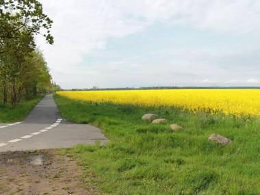 Cozy Bungalow in Stove Germany near Baltic Sea