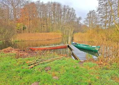 Ferienhaus im Wald Luebberstorf WEST 361