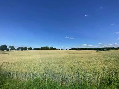 Spacious Holiday Home in Lüdersdorf with Sauna