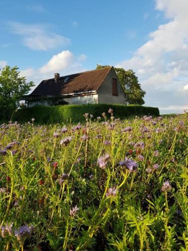 Ferienhaus Gransee unmittelbar am Stechlinsee - Radweg