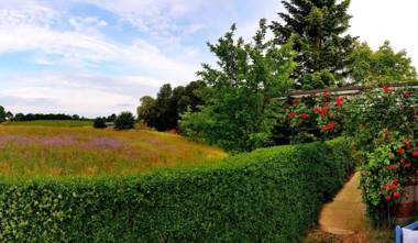 Ferienhaus Gransee unmittelbar am Stechlinsee - Radweg