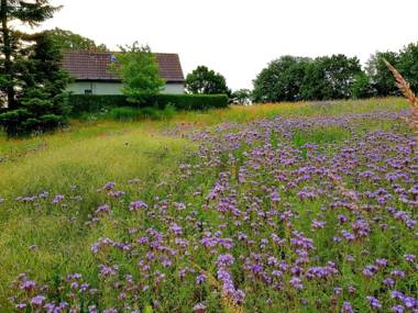Ferienhaus Gransee unmittelbar am Stechlinsee - Radweg