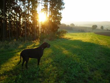 Wampendobler Paradies