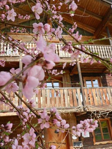 Wampendobler Paradies