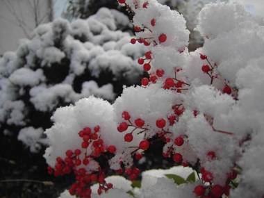Ferienwohnung Familie Buchner