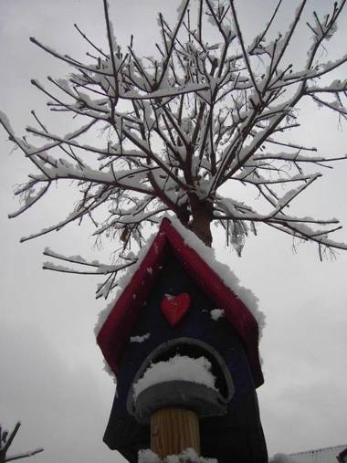 Ferienwohnung Familie Buchner