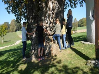 Gästehaus Schneider