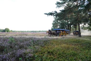 Eurostrand Resort Lüneburger Heide