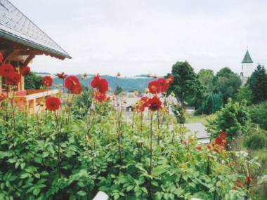 Lovely Apartment in Dachsberg Urberg with Roof Terrace