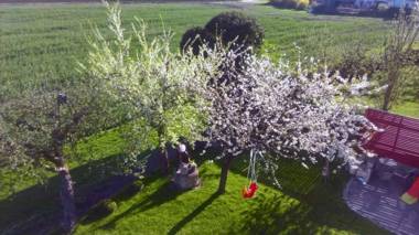 Ferienwohnung Auszeit