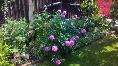 Ferienwohnung Auszeit