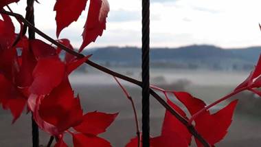 Ferienwohnung Auszeit