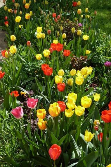 Ferienwohnung Nörpel