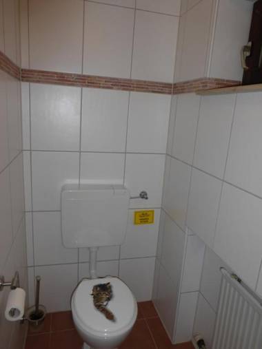 Ferienwohnung bei Rosi