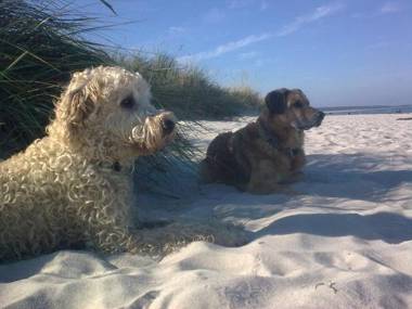 Stettiner Haff Herrenhaus Apartment