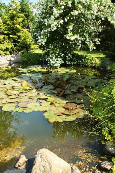 Werners Landgasthaus