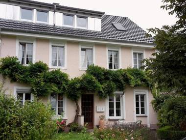 Unterm Blauregen