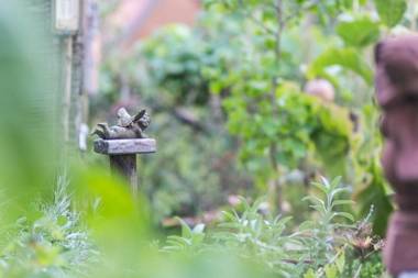 Ferienhaus St. Michael