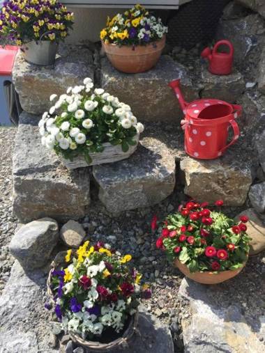 Ferienwohnung im Laubgarten