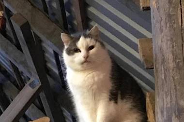 Ferienhof Land-Idyll