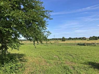 Ferienwohnung Roggentin SEE 9071