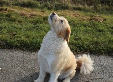 Ferienhaus Strandgeflüster