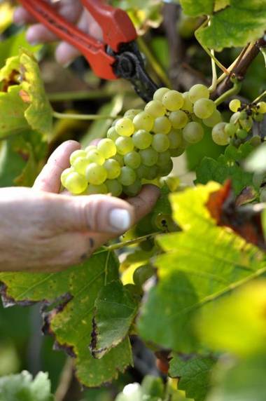 Gästehaus Wein im Turm