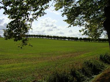 Ferienhaus Am Linden-Brink