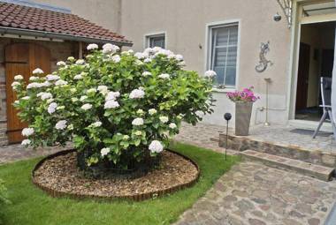 Ferienwohnung Lychen UCK 1021