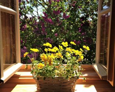 Cottage Das kleine Glück