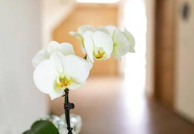 Gasthof Krone Ochsenfeld