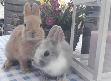 Ferienwohnung Süderfeld