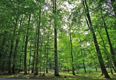 Ferienwohnungen Helpter Berg SEE 9