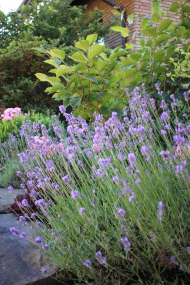 Ferienwohnung zum Nutscheid