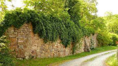 Ferienwohnungen Lindleshof