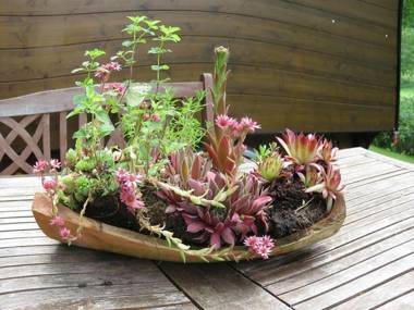 Bienenwagen der Naturheilpraxis Melchger