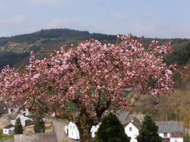 Ferienwohnung-in-schoenster-Lage