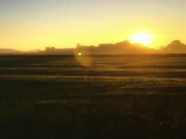 Haubarg alte Strandvogtei