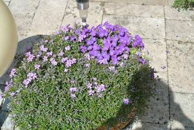 Ferienwohnung Finningen