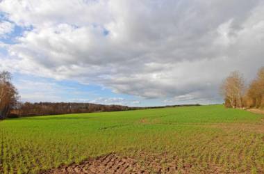 Ferienwohnung Bocksee SEE 8191